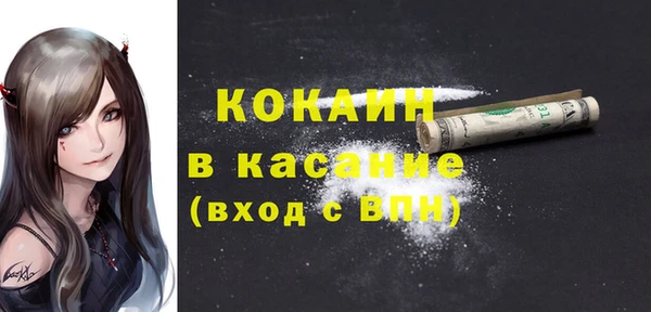 дживик Вязьма
