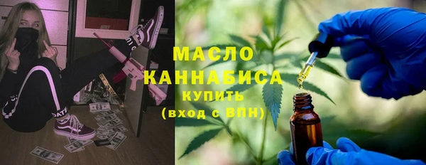 индика Вяземский