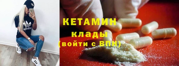 индика Вяземский