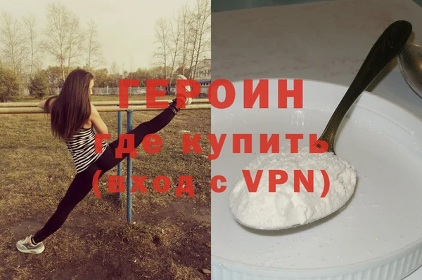 индика Вяземский