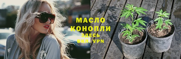 индика Вяземский