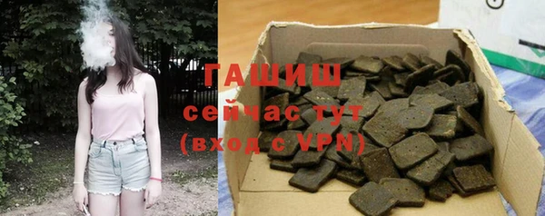 индика Вяземский