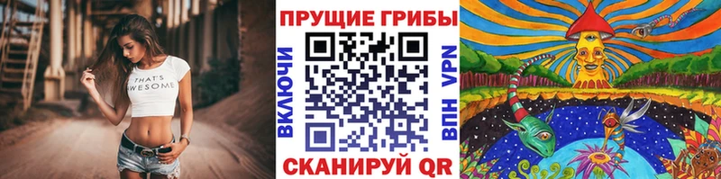 Псилоцибиновые грибы прущие грибы  Зима 